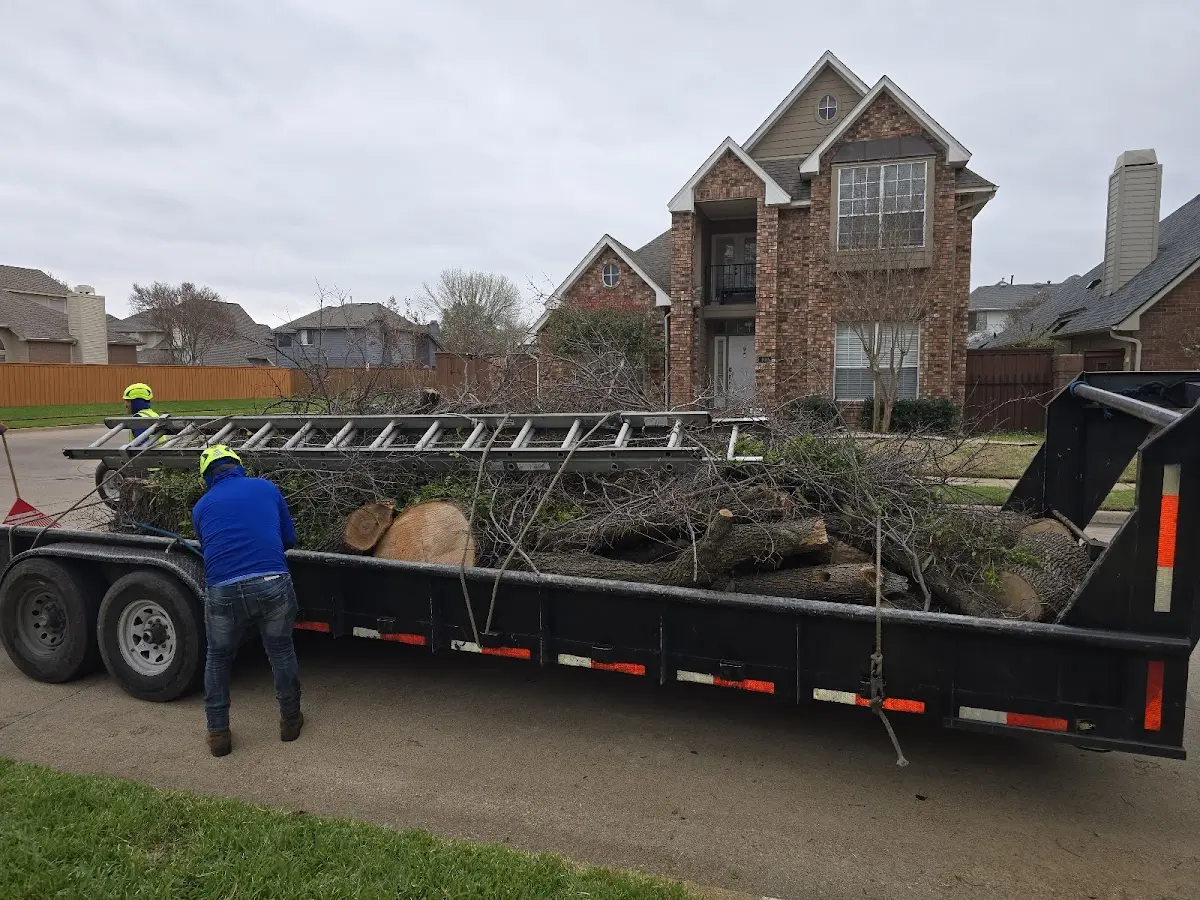 Expert Tree Fertilization with proper safety equipment in Desoto